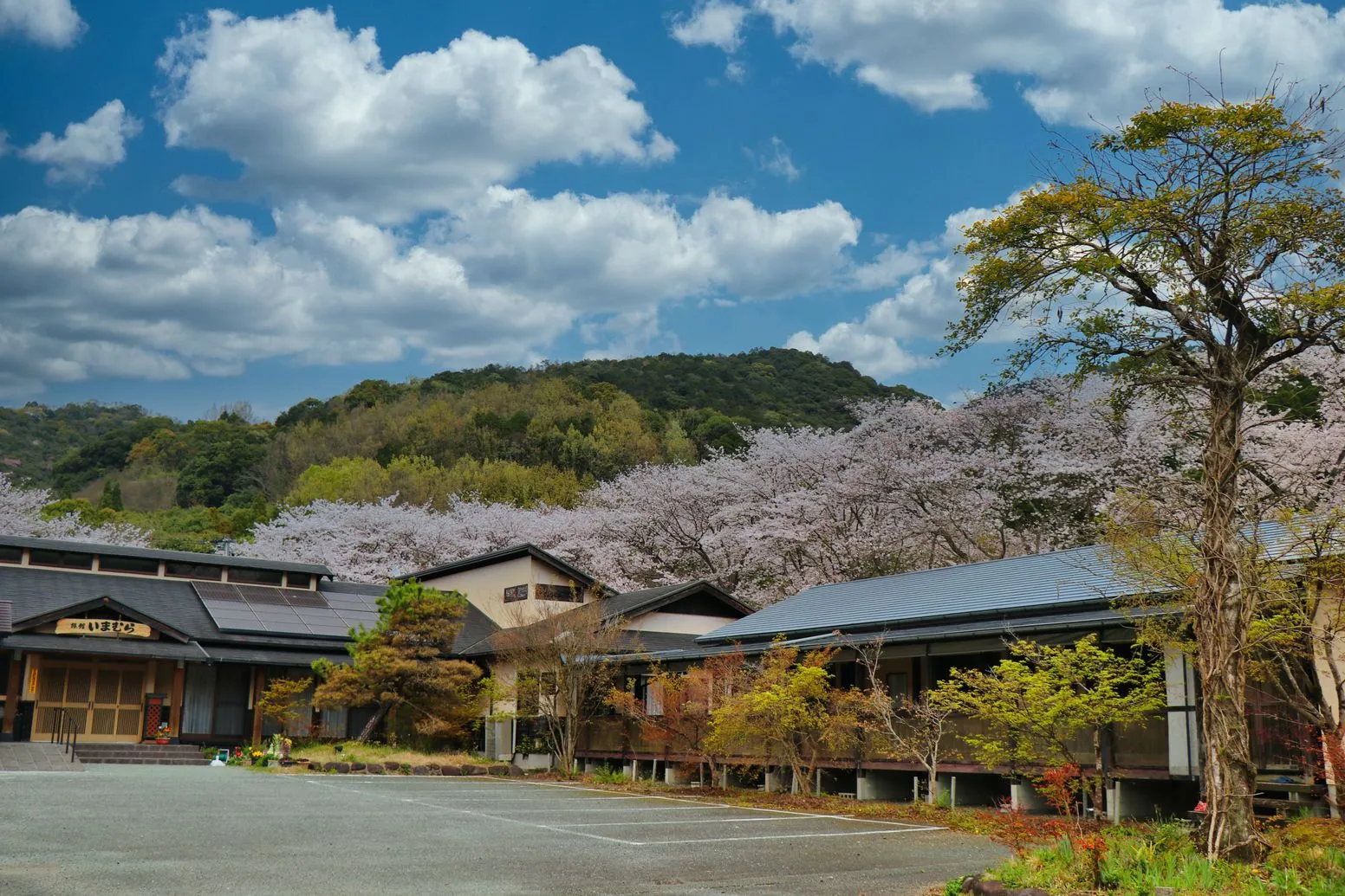 山鹿 平山温泉旅館・家族湯いまむら イメージ