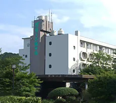 湯之山溫泉 湯元 Green Hotel